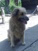 Kuvcmix super lieb ,  sozial sucht