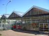 Gartenmarkt,  Gartenpavillon,  Gewächshaus,  Verkaufsraum,  Halle
