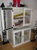 3 Rattenweibchen (evtl. mit Riesenschrank)