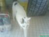 Suche ganz dringen ein neues zu Hause