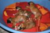 Boxer Welpen mit VDH/  BK Papieren
