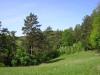 Wander- und Radwege durch das Amberg Sulzbacher Land