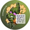 Mandarin Kush - Online-Shop