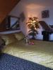 Die Stundenapartments nähe Pfprzheim /  Karlsruhe /  Bruchsal /  Heidelberg /  Mannh