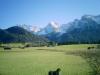 Urlaub mit Hund - im Haus alleine wohnen 2-6 Personen- Mittenwald/  Obb.