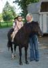 OucH Welsh A Wallach,  6Jahre alt,  Stockmass 1, 19m,  sucht einen Platz fürs Leben.