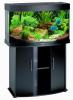 Komplettes Aquarium mit Fischen,  Pflanzen,  Zuberhör u. Deko
