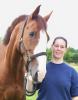 Suche mobile/ n Reitlehrer/ in