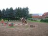 Suche RB Pferd/ Pony