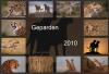 Geparden Kalender 2010