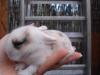 Die Baby´s sind da........