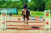 Biete Reitbeteiligung auf Sportpony in stade/ 21682 