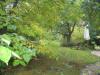 3 Zimmer Altbauwohnung mit Balkon und Garten in Berlin-Nikolassee.