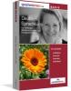 Anfänger Sprachkurs Deutsch