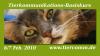 Tierkommunikations Basisseminar 6/ 7 Feb. Emden /  Niedersachsen