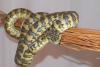 Teppichpython Zuchttier 0, 1 von 05.05 Morelia spilota variegata