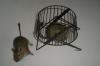 2 Degu-Männchen 