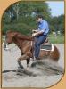 Training /  Beritt Westernreiten FRÜHLINGSAKTION!