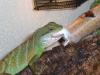 wasseragame zu verkaufen