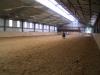 www.go-WESTerbroek.de ,  Horsestables Künstler , 47638 Straelen