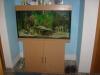 Aqua One 240l