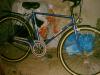 Herrenrad 