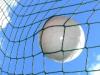 Fanartikel für die WM 2010 und 2011