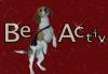 Beagleactiv.de Das BeagleForum 