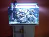 Meerwasseraquarium komplett