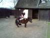 shetty walach