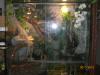 terrarium mit wasserteil