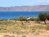 Unser Angebot nahe der Stadt Karystos auf Evia/ Griechenland