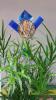 Gartenstele/ Gartenstecker/ Windspiele/ Tiffany im Drachenshop Mülheim_ Duisburg