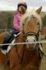 Suche liebevolle Pflegebeteiligung an Pony-Kind Raum 65510/ 65520