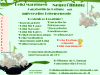 Reiki Marpingen  Behandlungen    Gutscheine zum Fest 