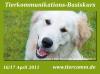 Tierkommunikation Kurs Schleswig- Holstein 16/ 17 April 2011