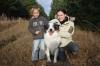 verhaltenstherapie für hund