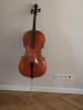 3/ 4 Cello zu verkaufen