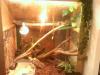 gr.Terrarium mit diversem Zubehör