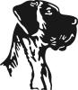 Hunderennen 28.05.2011 Hamm 