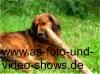 VIDEOS UND FOTOSHOWS