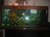 juwell Aquarium 160-180 liter