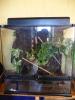 Exo-Terra Terrarium! Ansehen lohnt!
