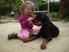 Dobermann Welpe,  Hündin,  4 1/ 2 Monaten alte,  mit FCI Stammbaum,  super Charakter 