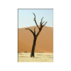 Naturfotografie Dorit Mrazek - Eindrucksvolle Naturfotografien Weltweit