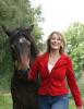 Reitunterricht /  Sitzschulung /  Pferdetraining im Raum Bielefeld und bis Oldenbu