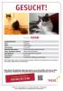 Kater Yakari gesucht 13467 Berlin Hermsdorf