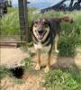 jenny sucht ein passendes ZUhause