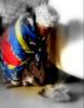 Top Love Spell Casters,  Love Spells,  Marriage Spells 