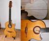 Custom-Cutaway von Manfred Pletz - Taunusstein 